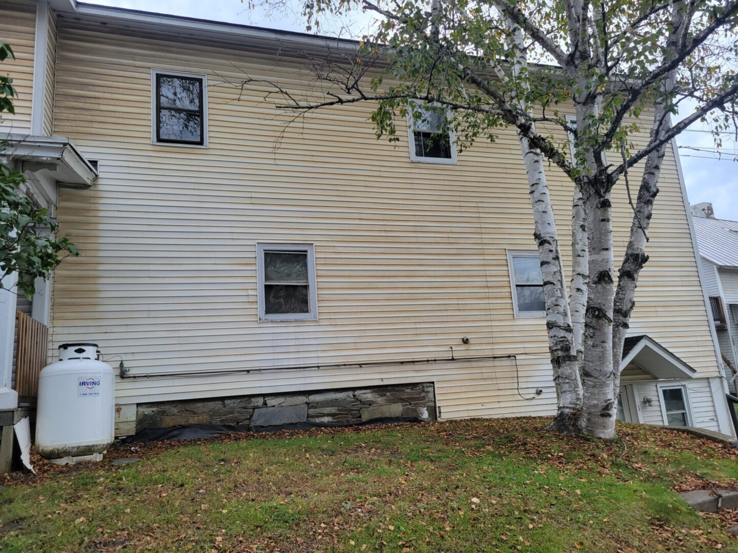A tree is in front of the house