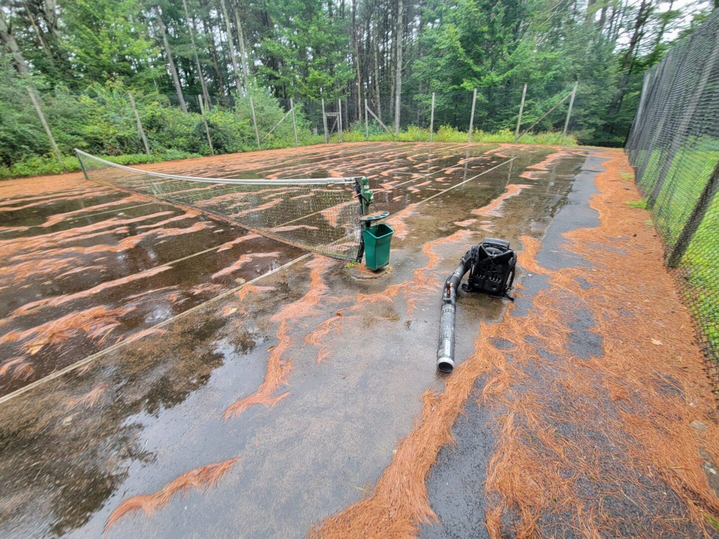 A person standing in the mud near some trees.