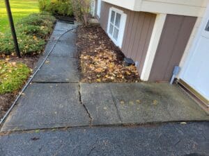 A cat is sitting on the sidewalk outside of a house.