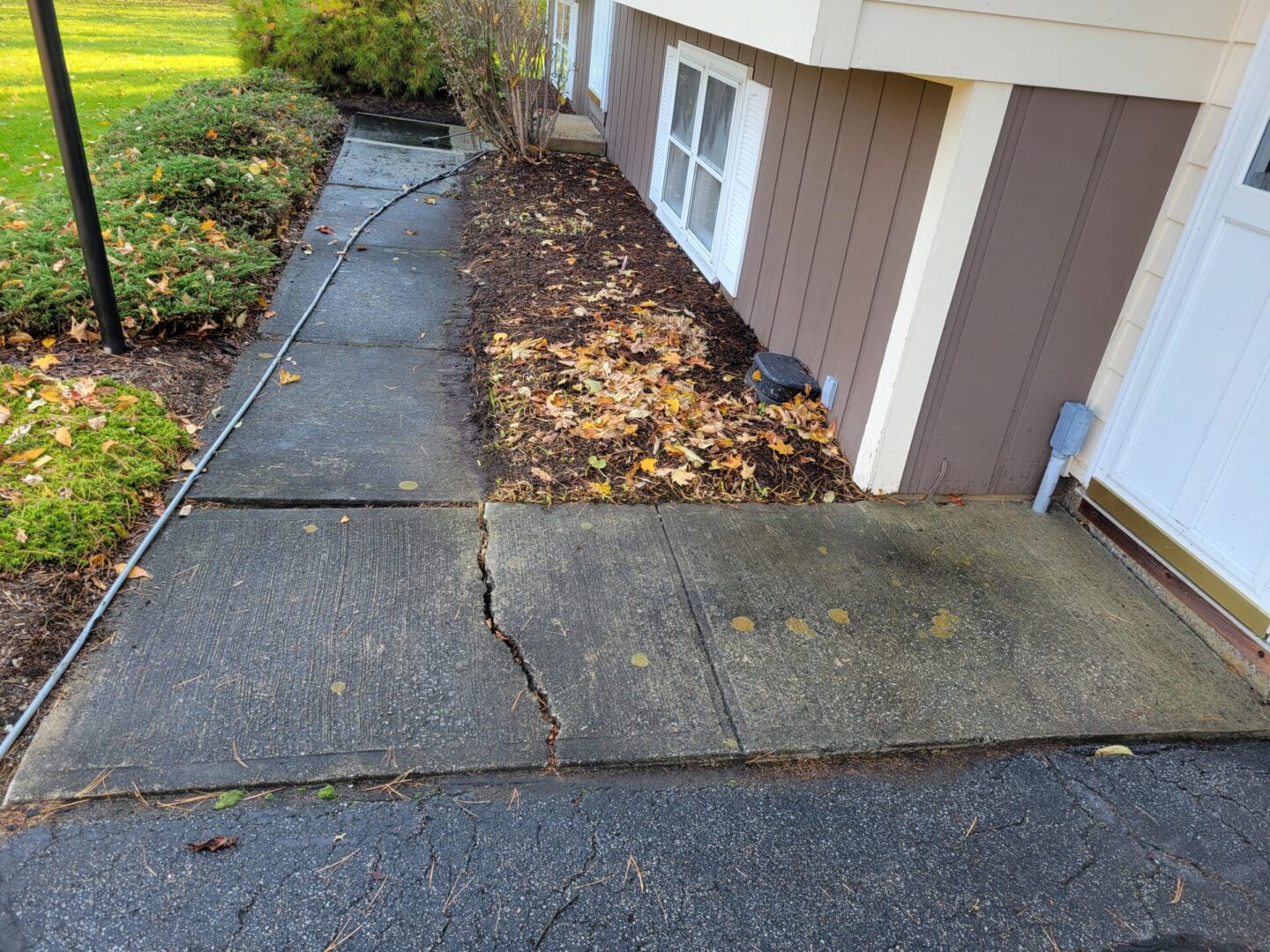 A cat is sitting on the sidewalk outside of a house.