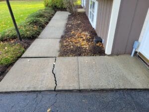 A sidewalk that has been cracked and is broken.